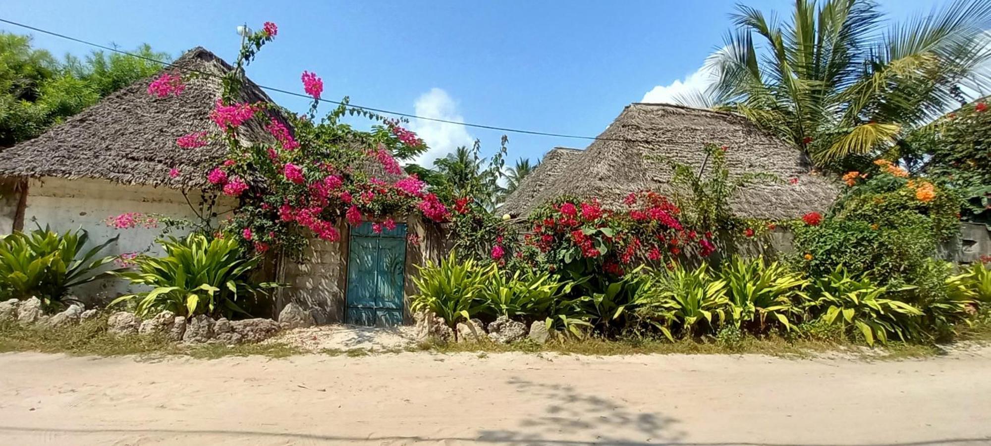 Morningstar Bungalows Zanzibar 马特姆维 外观 照片